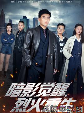 暗影觉醒，烈火重生