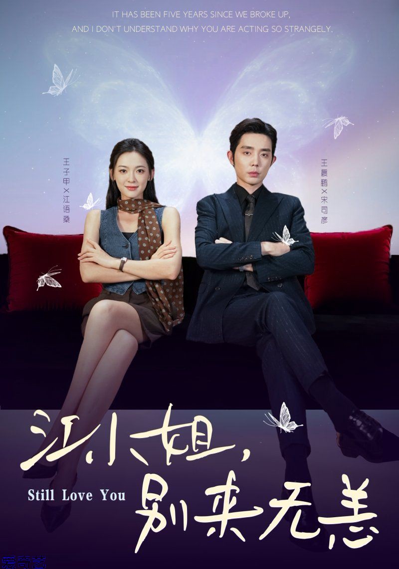 江小姐，别来无恙分手五年，宋先生别纠缠