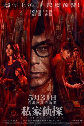 私家侦探国语
