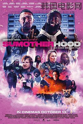 笨贼兄弟闯伦敦