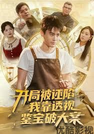 开局被诬陷，我靠透视鉴宝破大案